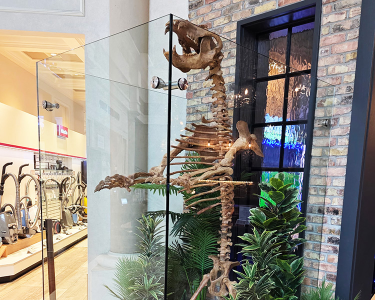 Chicago Glass Sliding Showcase Doors and Office Pass-Thru Windows